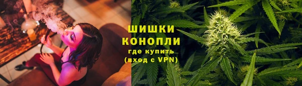 круглые Осинники