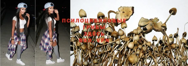 спайс Абинск