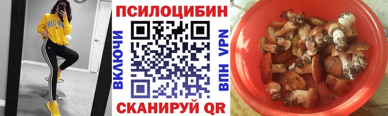 Галлюциногенные грибы GOLDEN TEACHER  Фокино 